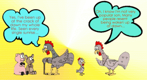 rooster humor
