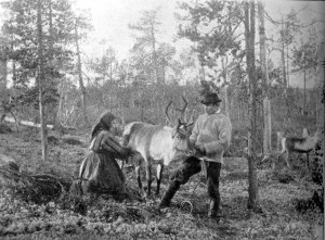 A depiction of Milking a reindeer in the 19th Century http://en.wikipedia.org/wiki/File:Reindeer_milking.jpg