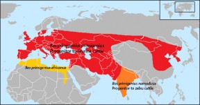 auroch migration map