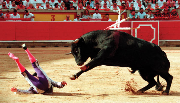 ../443/tanneraustincows/files/2014/04/bullfight3.jpg